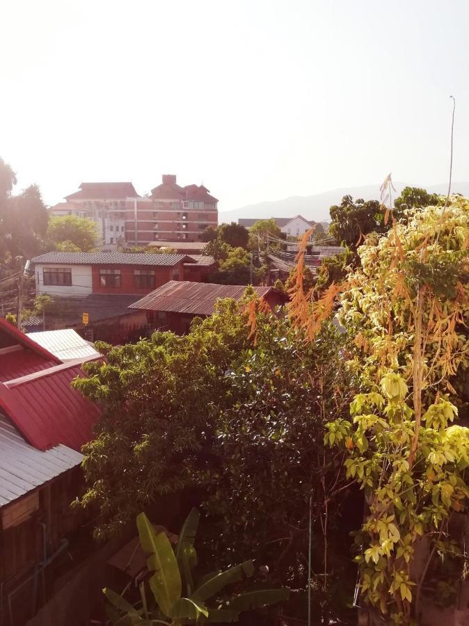 Mandala House, Chiang Mai Hotell Eksteriør bilde